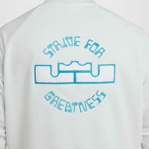 Nike LeBron Standard Issue
Men's Therma-FIT Basketball Jacket
 / fz1034-121